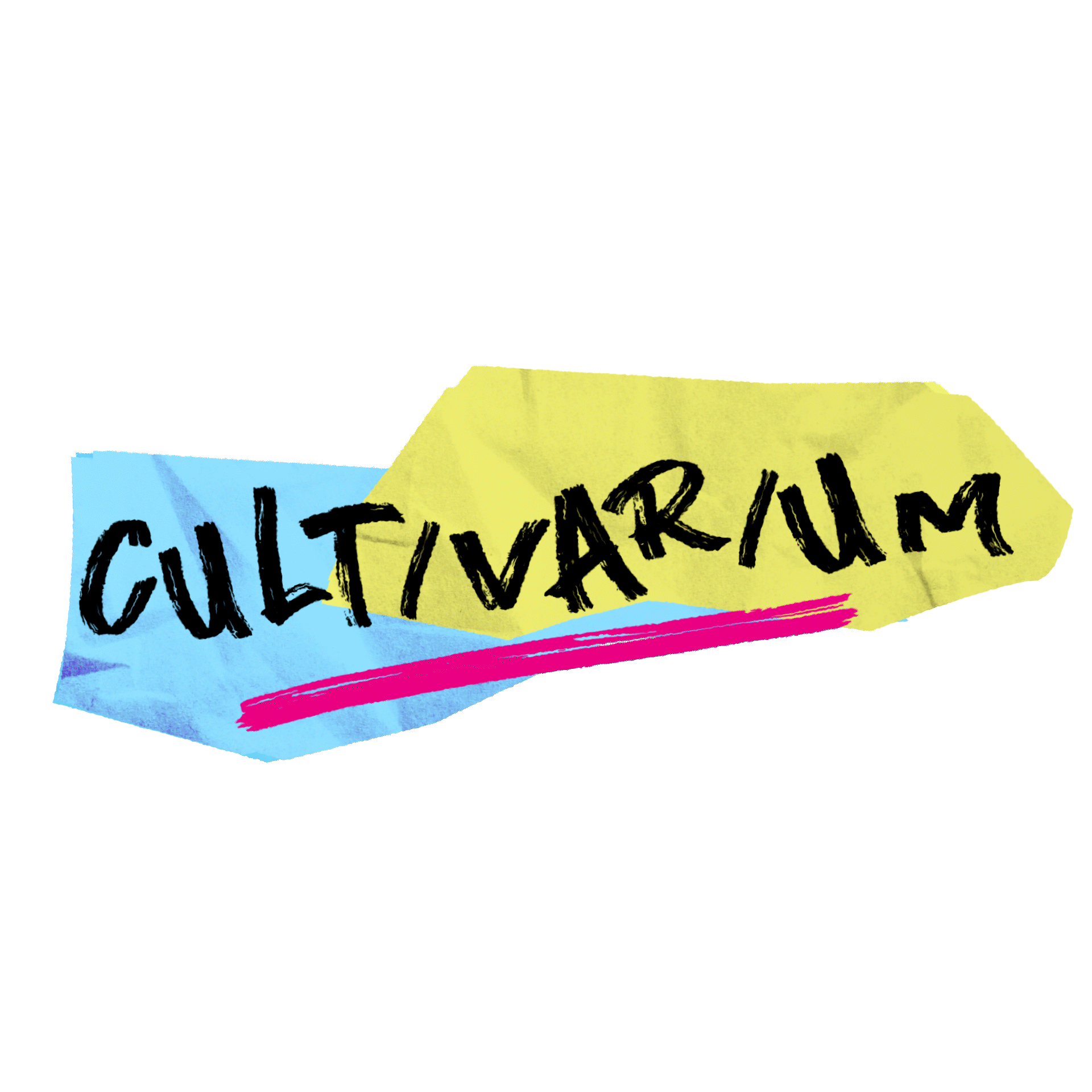 Logo 3